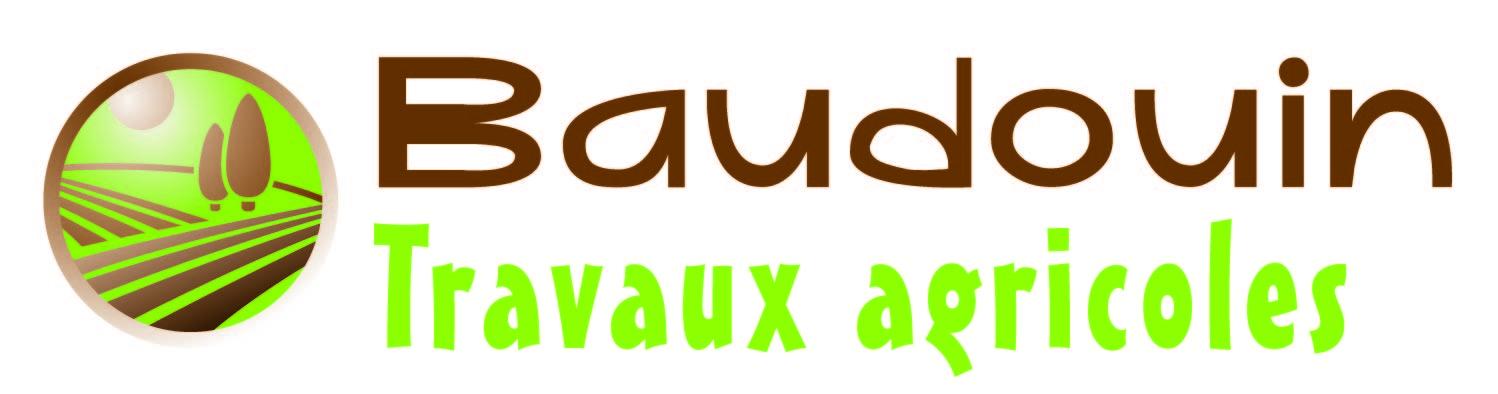 Baudouin logo fond blanc